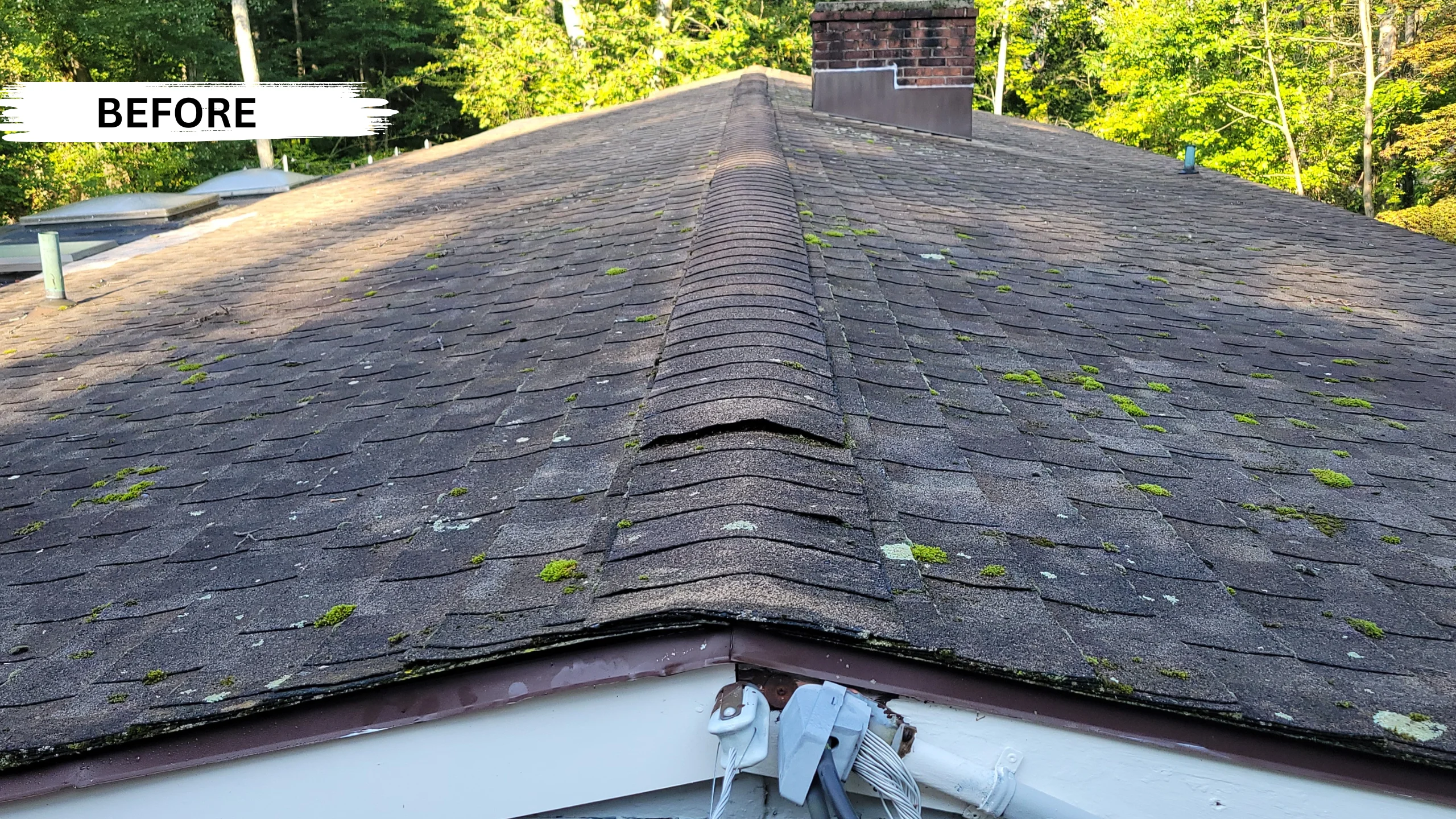 Roof Cleaning - Before 